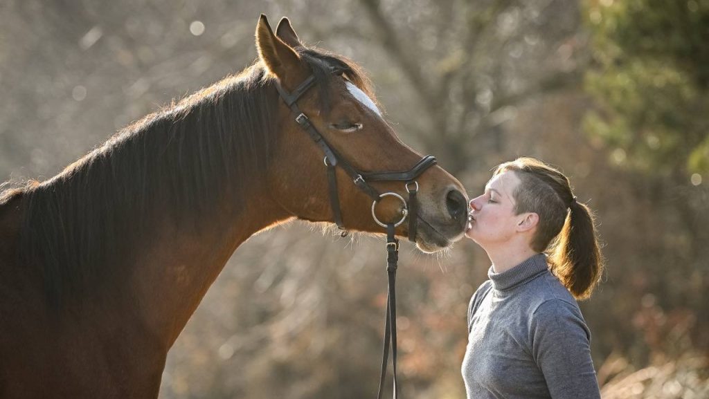 DeinTierCoach Verhaltenstraining für Pferde mit Jennifer Bürge